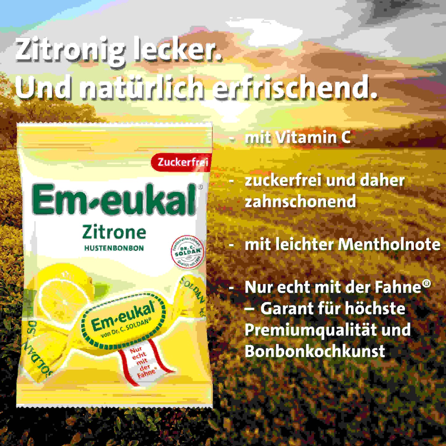 Em-eukal Zitrone zfr. 75 g