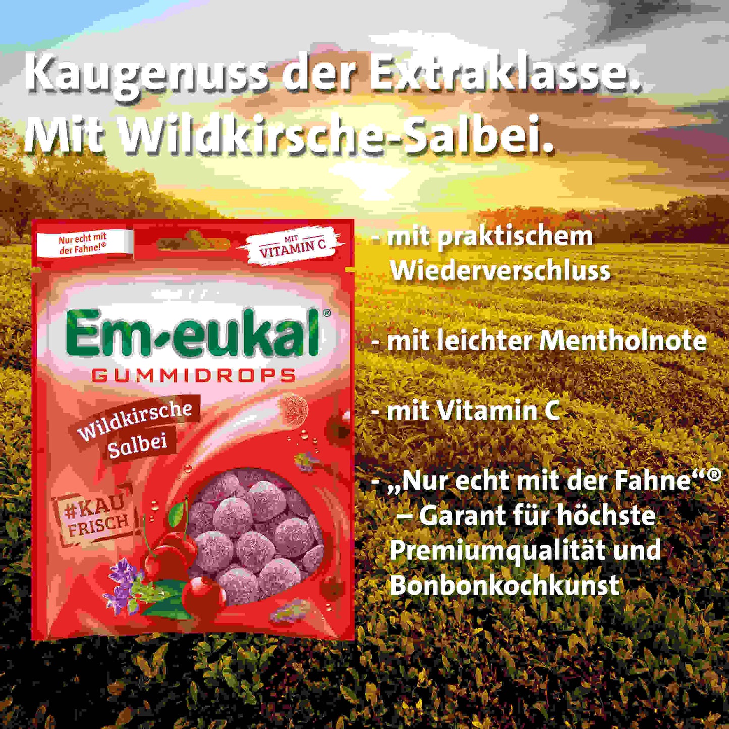Em-eukal Gummidrops Wildkirsche-Salbei zh. 90g