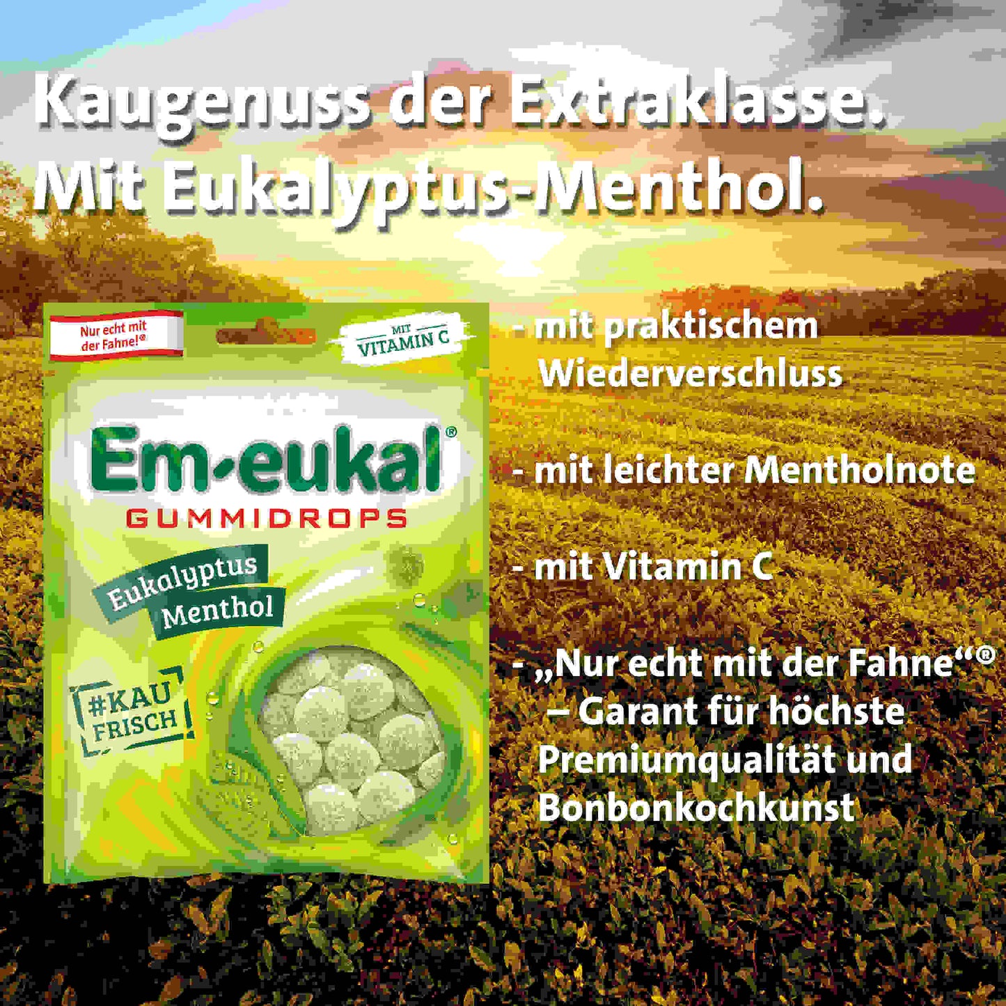 Em-eukal Gummidrops Eukalyptus Menthol zh. 90g