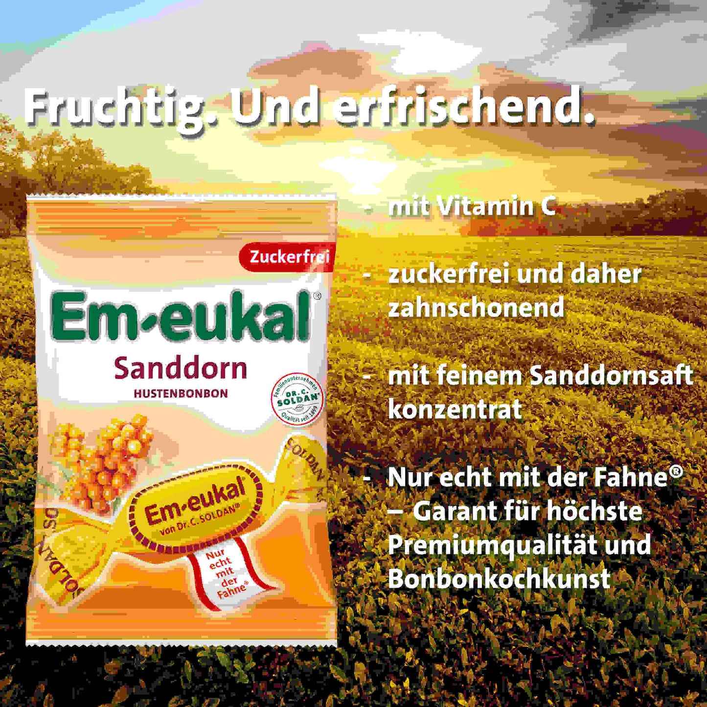 Em-eukal Sanddorn zfr. 75 g