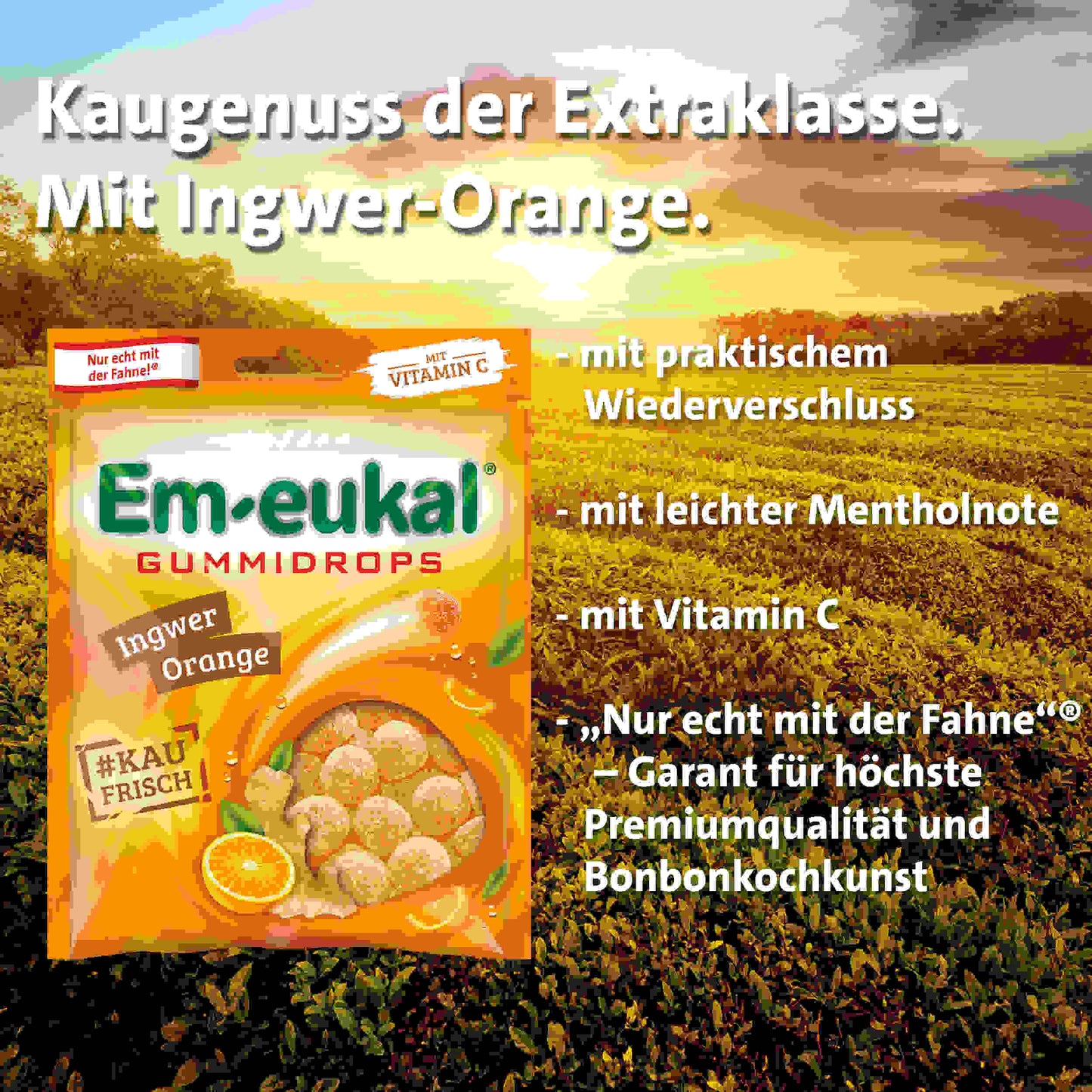 Em-eukal Gummidrops Ingwer - Orange zh. 90g